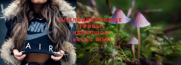 сатива Армянск