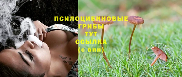 сатива Армянск
