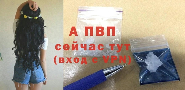 сатива Армянск