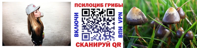 Галлюциногенные грибы Psilocybine cubensis  где продают   Коряжма 